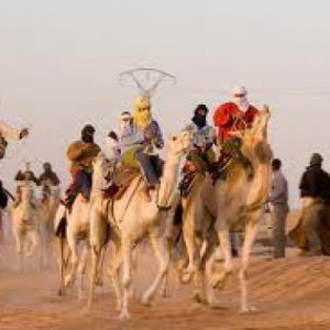 Camel racing in the Cup Imparya